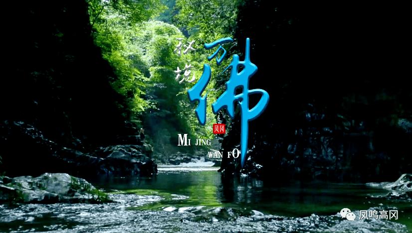 报名开启！河北博物院这个火出圈的大展开始招募第二批志愿者
